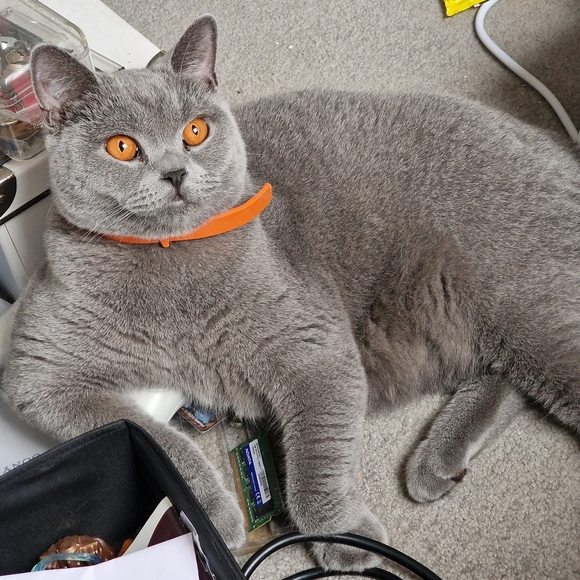 Meet your Posher, Ian - Picture 2 of 2